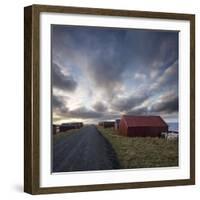 Red Huts and Sheep at Sunset on Coast, Lofoten Islands, Norway, Scandinavia, Europe-Purcell-Holmes-Framed Photographic Print