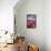 Red Hybrid Tulip and the Sky-Richard T. Nowitz-Framed Stretched Canvas displayed on a wall