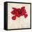 Red I-Amy Melious-Framed Stretched Canvas
