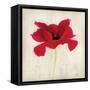 Red I-Amy Melious-Framed Stretched Canvas