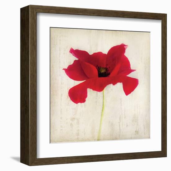 Red I-Amy Melious-Framed Art Print