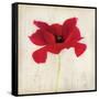 Red I-Amy Melious-Framed Stretched Canvas