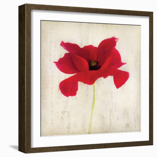 Red I-Amy Melious-Framed Art Print