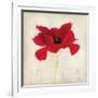 Red I-Amy Melious-Framed Art Print