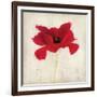 Red I-Amy Melious-Framed Art Print