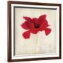 Red I-Amy Melious-Framed Art Print