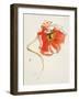 Red Icelands II-Shirley Novak-Framed Art Print