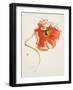 Red Icelands II-Shirley Novak-Framed Art Print