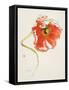 Red Icelands II-Shirley Novak-Framed Stretched Canvas