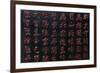 Red Ideograms-null-Framed Giclee Print