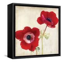 Red II-Amy Melious-Framed Stretched Canvas