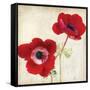 Red II-Amy Melious-Framed Stretched Canvas