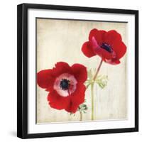 Red II-Amy Melious-Framed Art Print