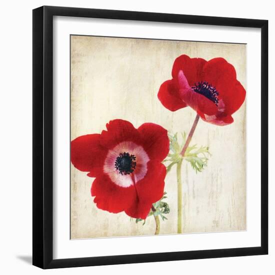 Red II-Amy Melious-Framed Art Print