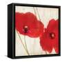 Red III-Amy Melious-Framed Stretched Canvas