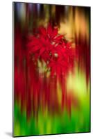 Red Instrumental-Philippe Sainte-Laudy-Mounted Photographic Print