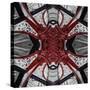 Red Iron Spider, 2014-Ant Smith-Stretched Canvas