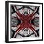 Red Iron Spider, 2014-Ant Smith-Framed Giclee Print