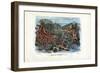 Red Isis Corals, 1863-79-Raimundo Petraroja-Framed Giclee Print