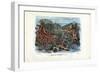 Red Isis Corals, 1863-79-Raimundo Petraroja-Framed Giclee Print