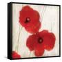 Red IV-Amy Melious-Framed Stretched Canvas