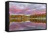 Red Jack Lake and Sunrise Reflection, Alger County, Upper Peninsula of Michigan-Adam Jones-Framed Stretched Canvas