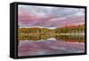 Red Jack Lake and Sunrise Reflection, Alger County, Upper Peninsula of Michigan-Adam Jones-Framed Stretched Canvas