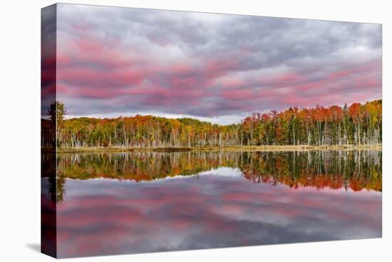 Red Jack Lake and Sunrise Reflection, Alger County, Upper Peninsula of Michigan-Adam Jones-Stretched Canvas