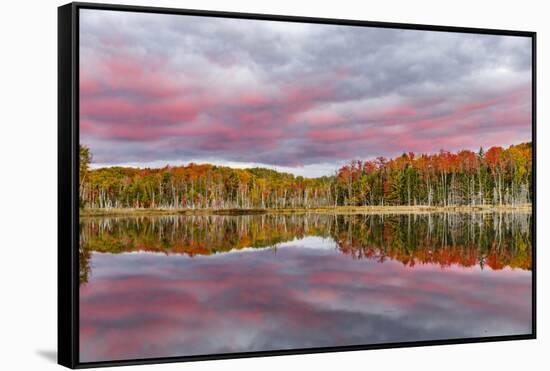 Red Jack Lake and Sunrise Reflection, Alger County, Upper Peninsula of Michigan-Adam Jones-Framed Stretched Canvas