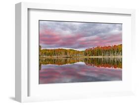 Red Jack Lake and Sunrise Reflection, Alger County, Upper Peninsula of Michigan-Adam Jones-Framed Photographic Print