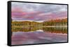 Red Jack Lake and Sunrise Reflection, Alger County, Upper Peninsula of Michigan-Adam Jones-Framed Stretched Canvas