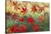 Red Japanese Maple leaves floating on glass-Darrell Gulin-Stretched Canvas