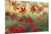 Red Japanese Maple leaves floating on glass-Darrell Gulin-Mounted Photographic Print