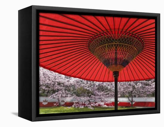 Red Japanese Parasol and Pink Cherry Blossoms-Rudy Sulgan-Framed Stretched Canvas