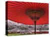 Red Japanese Parasol and Pink Cherry Blossoms-Rudy Sulgan-Stretched Canvas