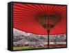 Red Japanese Parasol and Pink Cherry Blossoms-Rudy Sulgan-Framed Stretched Canvas