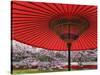 Red Japanese Parasol and Pink Cherry Blossoms-Rudy Sulgan-Stretched Canvas