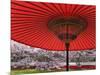 Red Japanese Parasol and Pink Cherry Blossoms-Rudy Sulgan-Mounted Photographic Print