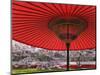 Red Japanese Parasol and Pink Cherry Blossoms-Rudy Sulgan-Mounted Photographic Print