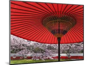 Red Japanese Parasol and Pink Cherry Blossoms-Rudy Sulgan-Mounted Photographic Print