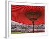 Red Japanese Parasol and Pink Cherry Blossoms-Rudy Sulgan-Framed Photographic Print