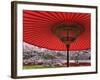 Red Japanese Parasol and Pink Cherry Blossoms-Rudy Sulgan-Framed Photographic Print