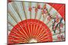 Red Japanese Umbrella Inside-Pavasaris-Mounted Photographic Print
