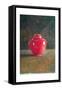 Red Jar, 1996-Lincoln Seligman-Framed Stretched Canvas