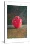 Red Jar, 1996-Lincoln Seligman-Stretched Canvas