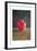 Red Jar, 1996-Lincoln Seligman-Framed Giclee Print