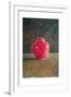 Red Jar, 1996-Lincoln Seligman-Framed Giclee Print