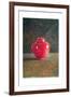 Red Jar, 1996-Lincoln Seligman-Framed Giclee Print