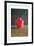 Red Jar, 1996-Lincoln Seligman-Framed Giclee Print