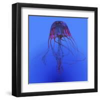 Red Jellyfish Illustration-Stocktrek Images-Framed Art Print